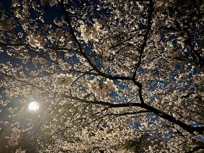南河原公園
