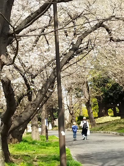 大師公園 少年野球場
