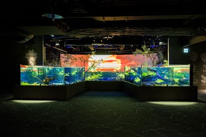 カワスイ 川崎水族館