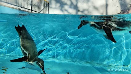 夢見ヶ崎動物公園